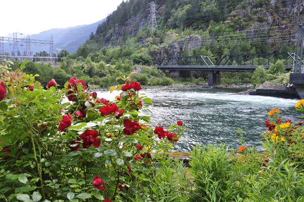 view from suspension bridge